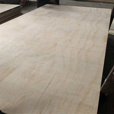 Kanadisches Weichholzsperrholz